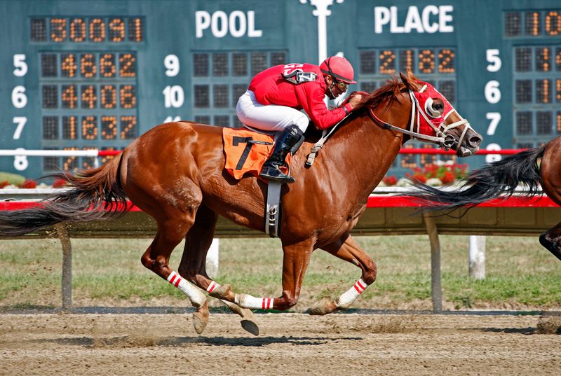 Horse racing at the track