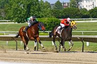 Horse Racing pair duel