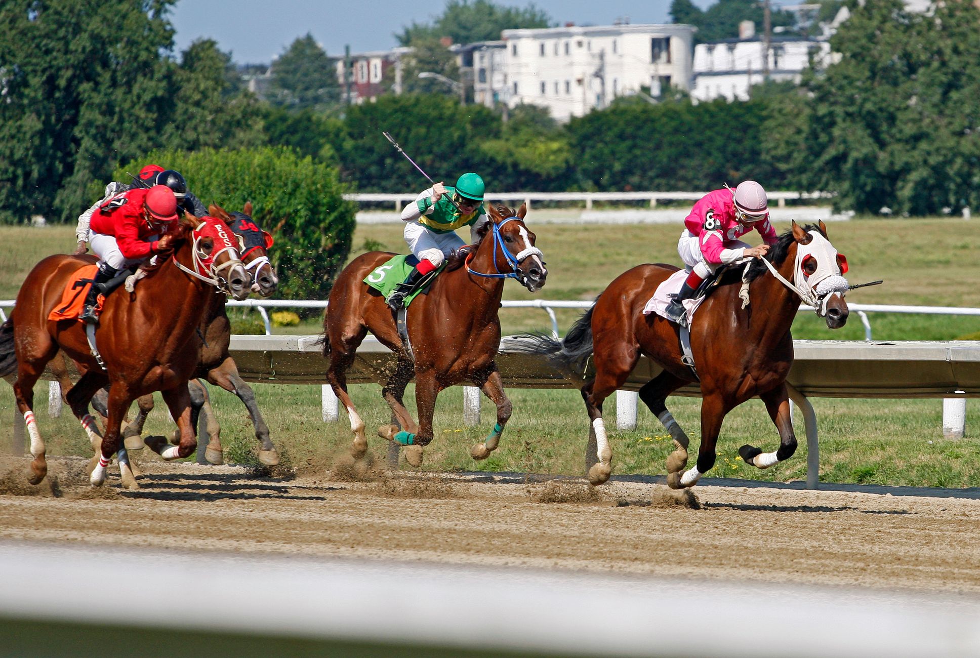MLB, NHL, and Horse Racing Betting Picks Offered