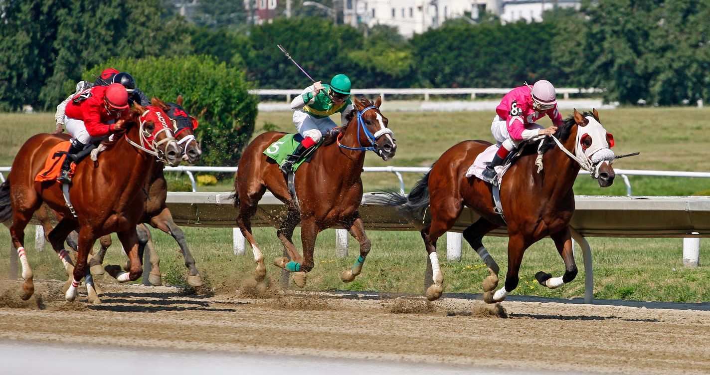 Jockeys lancés au coude à coude sur une piste ensoleillée lors d'une course hippique disputée