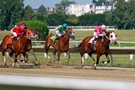 Horse Racing track