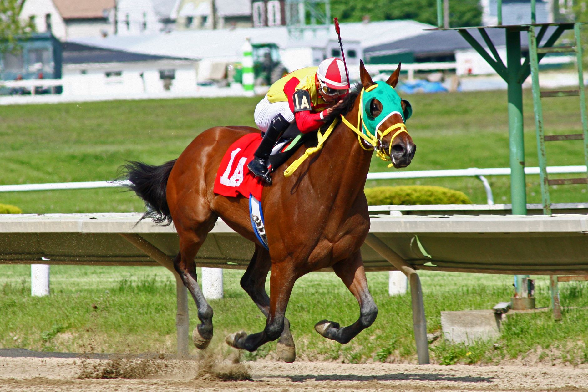 Fotografie z 152. Kentucky Derby: Najlepší deň konských dostihov, „športu kráľov“