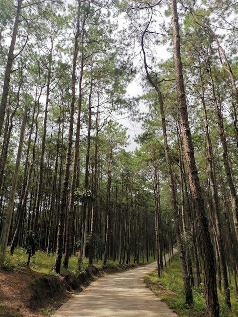 My Personal Experiences with Sustainable Travel in Thailand My Personal Experiences with Sustainable Travel in Thailand