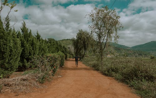 Person in Black Clothes Beside Trees and Grass