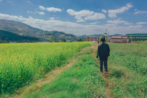 Ingyenes stockfotó farm, Férfi, fű témában