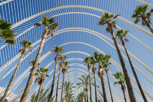 Valencia, Spain photo 7