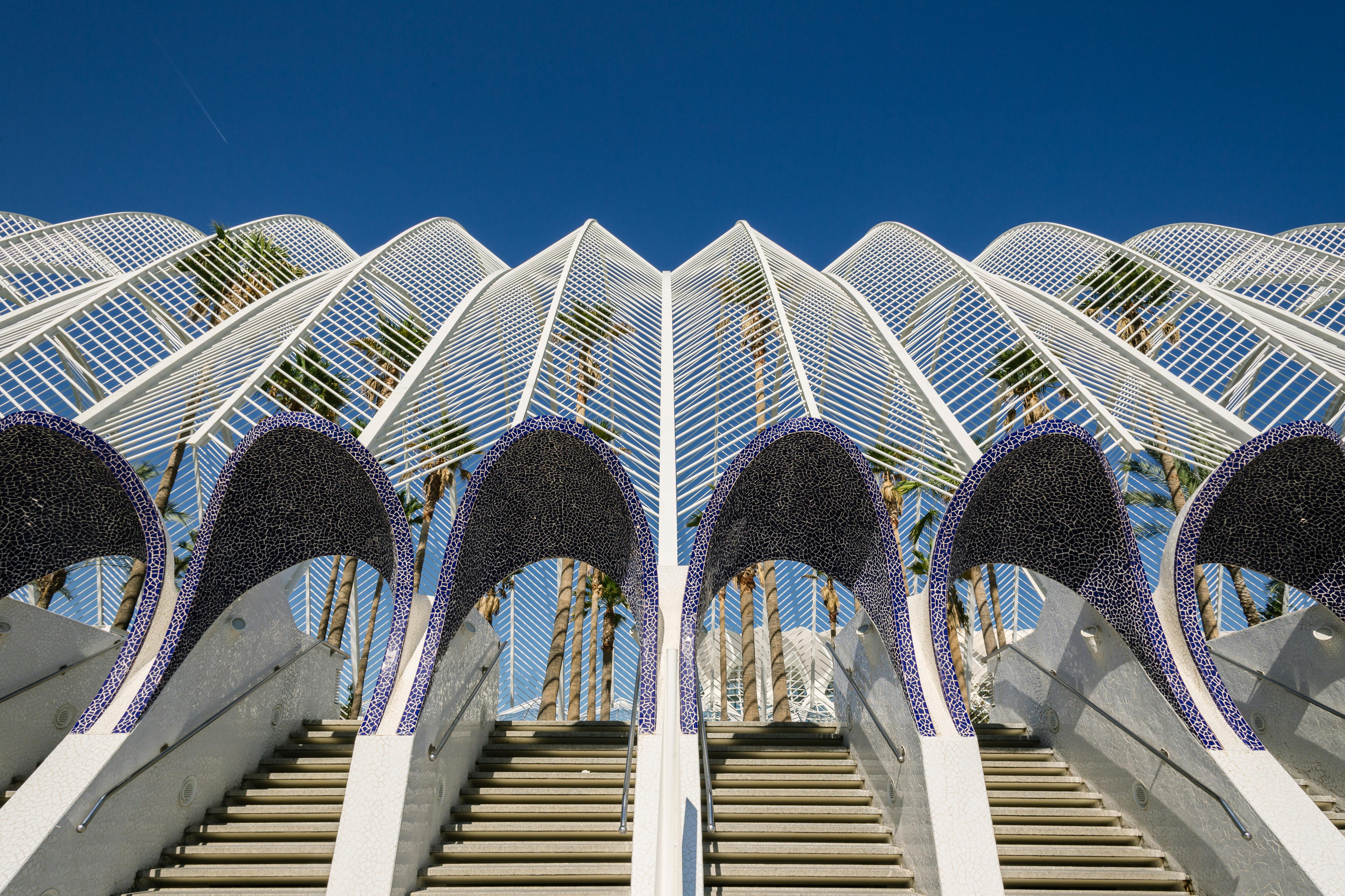 close up photography of purple and white concrete stair stepper