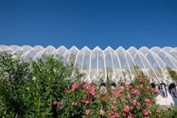 在西班牙瓦伦西亚，现代建筑与充满活力的植物令人惊叹地融合在一起