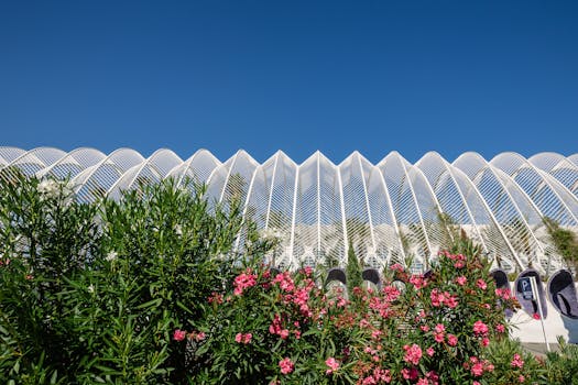 在西班牙瓦伦西亚，现代建筑与充满活力的植物令人惊叹地融合在一起