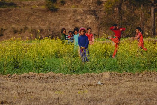 A joyful group of children playing in a vibrant mustard field in Uttarakhand, India, enjoying a sunny day.