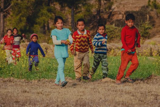 A group of children enjoying playtime in a vibrant field, showcasing carefree childhood moments.