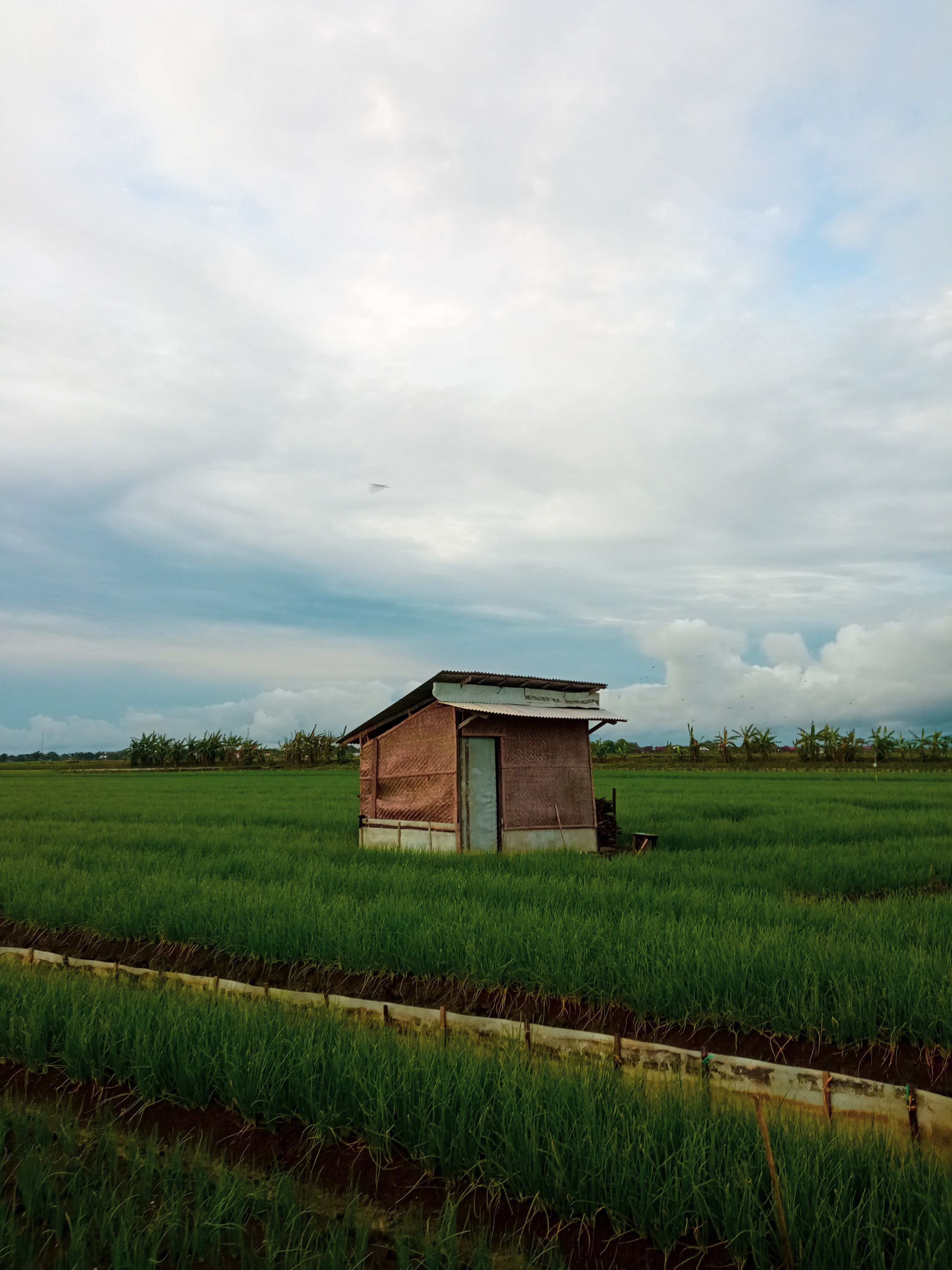 A Wooden House on Green Grass Field Under the White Clouds · Free Stock ...