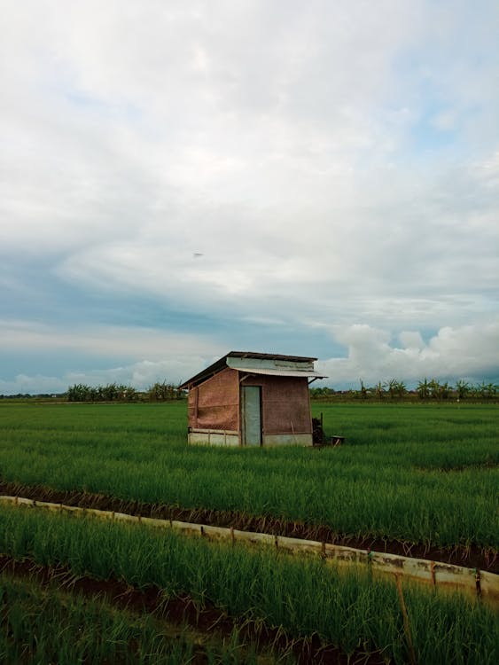 A Wooden House on Green Grass Field Under the White Clouds
