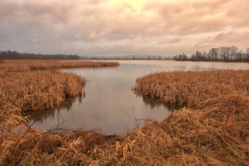 Gratis lagerfoto af efterår, flod, horisont