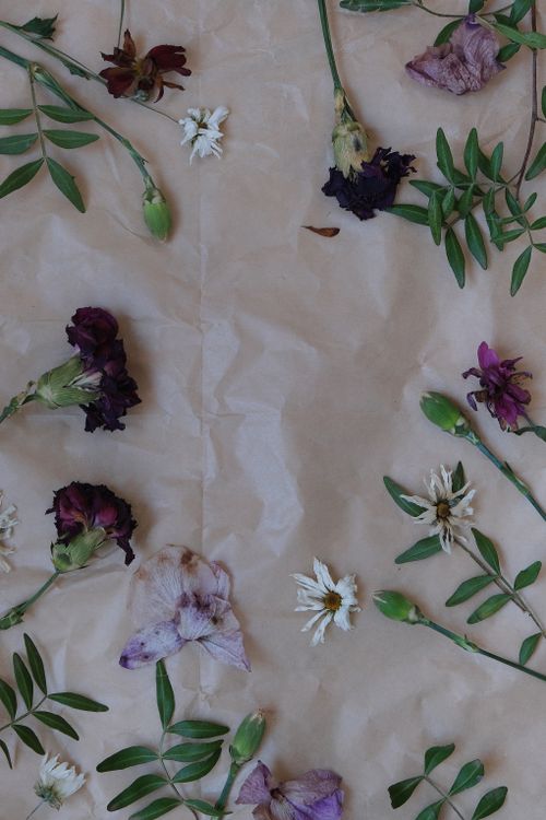 Free Aesthetic flat lay of dried flowers on crumpled paper, perfect for creative projects. Stock Photo