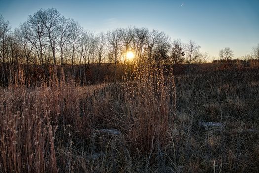 Capture of a beautiful sunrise over a frosty field with tall grass and bare trees in Kellogg, Minnesota.