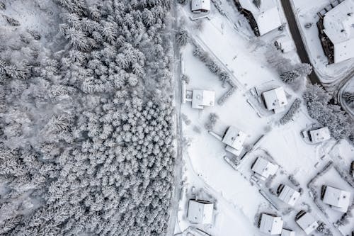 俯視圖, 冬季, 冷 的 免费素材图片