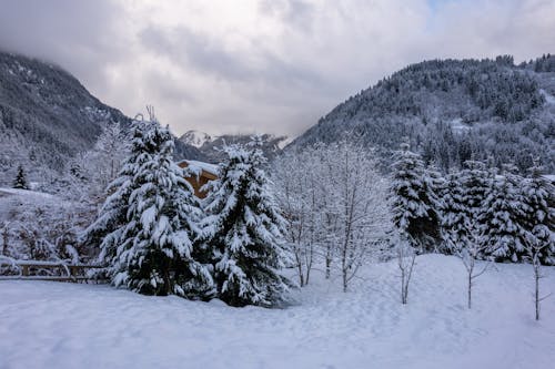 Kostenloses Stock Foto zu bäume, berge, draußen