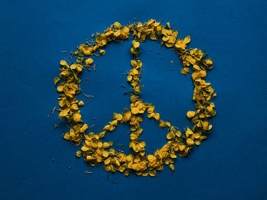 Bright yellow petals creatively form a peace symbol on a deep blue background.