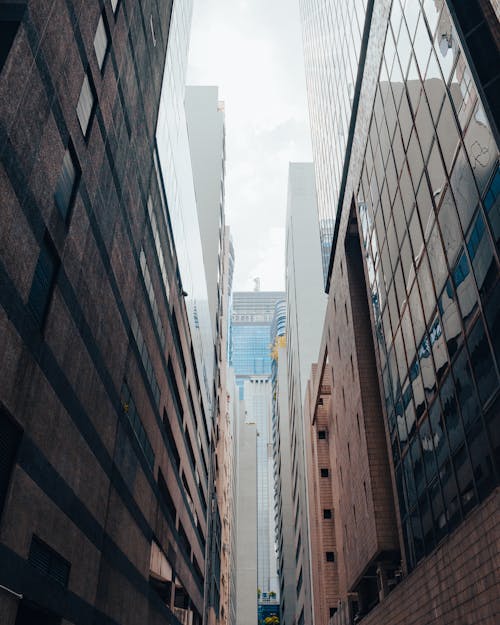 A Low Angle Shot of Buildings in the City