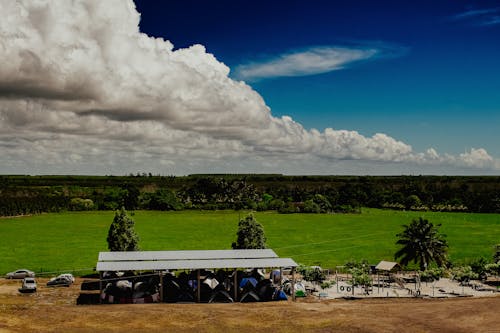 Ingyenes stockfotó drónfelvétel, farm, fű témában