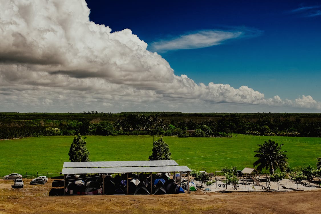 Ingyenes stockfotó drónfelvétel, farm, fű témában