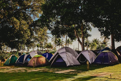 Ücretsiz ağaçlar, çadırlar, çevre içeren Ücretsiz stok fotoğraf Stok Fotoğraflar