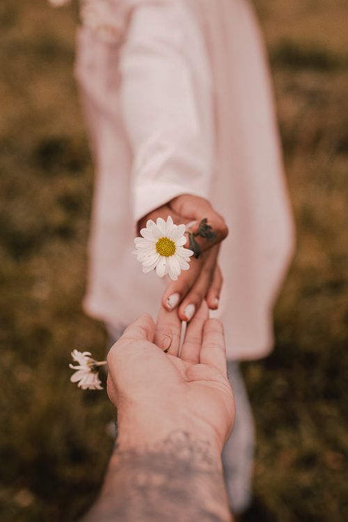 Free A warm moment captured of hands exchanging daisies, conveying connection and nature's beauty. Stock Photo
