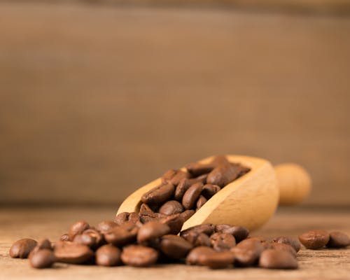 A Coffee Beans on a Wooden Scooper