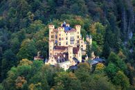 An Aerial Photography of a Castle Surrounded with Green Trees