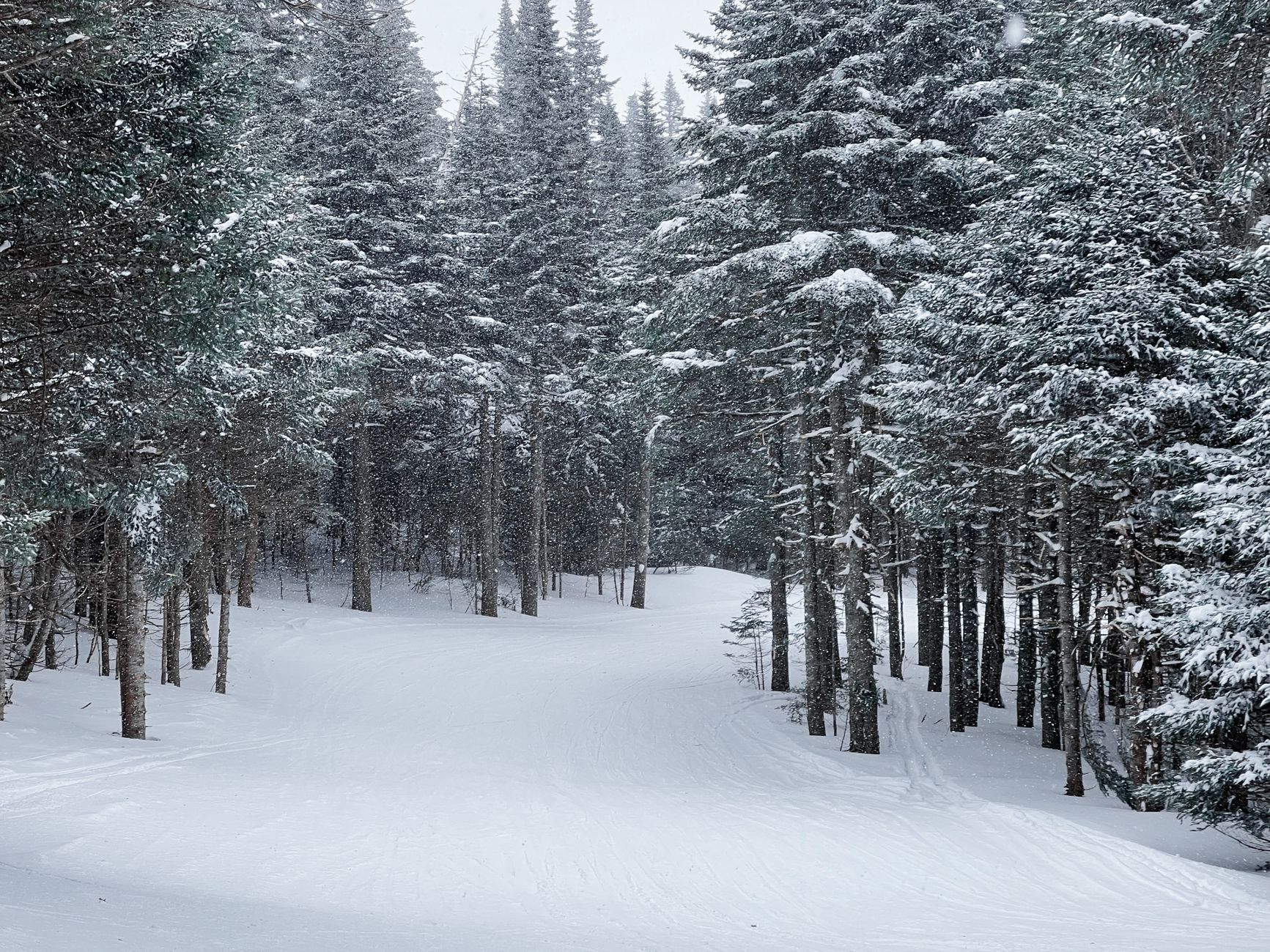 Parc du Réservoir-Beaudet