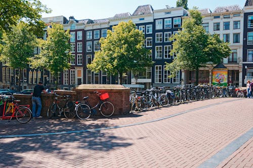 Free Bicycle Parked Near Green Trees and Building Stock Photo