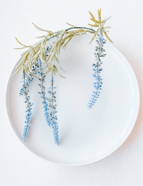 Free White Plate Decorated with Blue Flowers Stock Photo