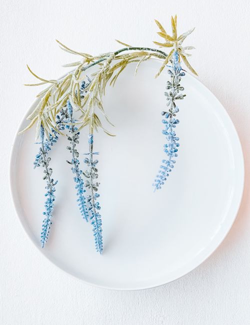 Artistic close-up of delicate blue flowers on a plain white plate, perfect for modern decor.