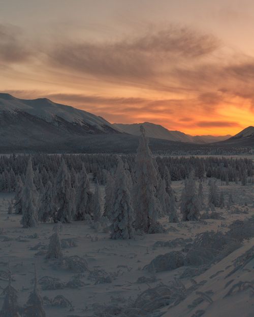 Free Breathtaking winter landscape of snowy trees and mountains at sunrise in Yakutia, Russia. Stock Photo