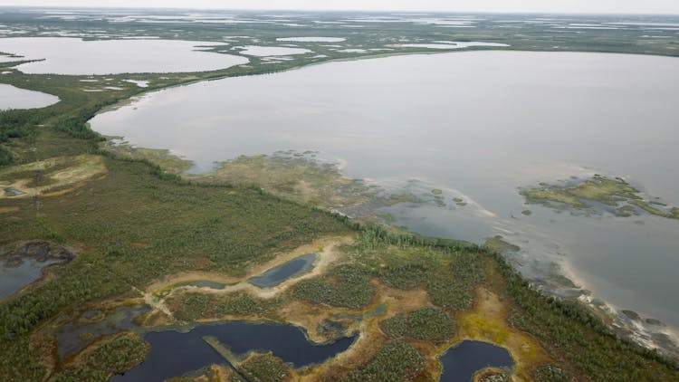 Aerial View Of A Wetland