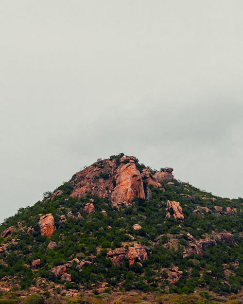 Darmowe zdjęcie z galerii z fotografia krajobrazowa, krajobraz, zielone góry