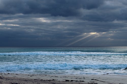 Ocean Waves Crashing on Shore