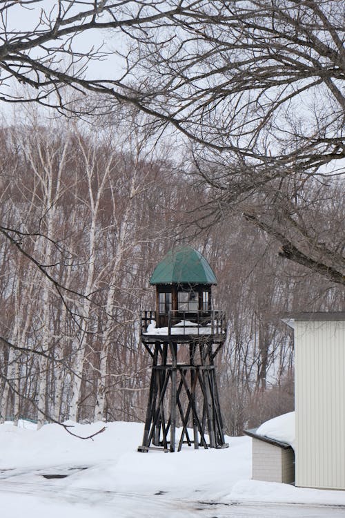 コールド, タワー, 冬の無料の写真素材