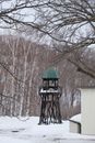 Green and White Wooden House Near Bare Trees