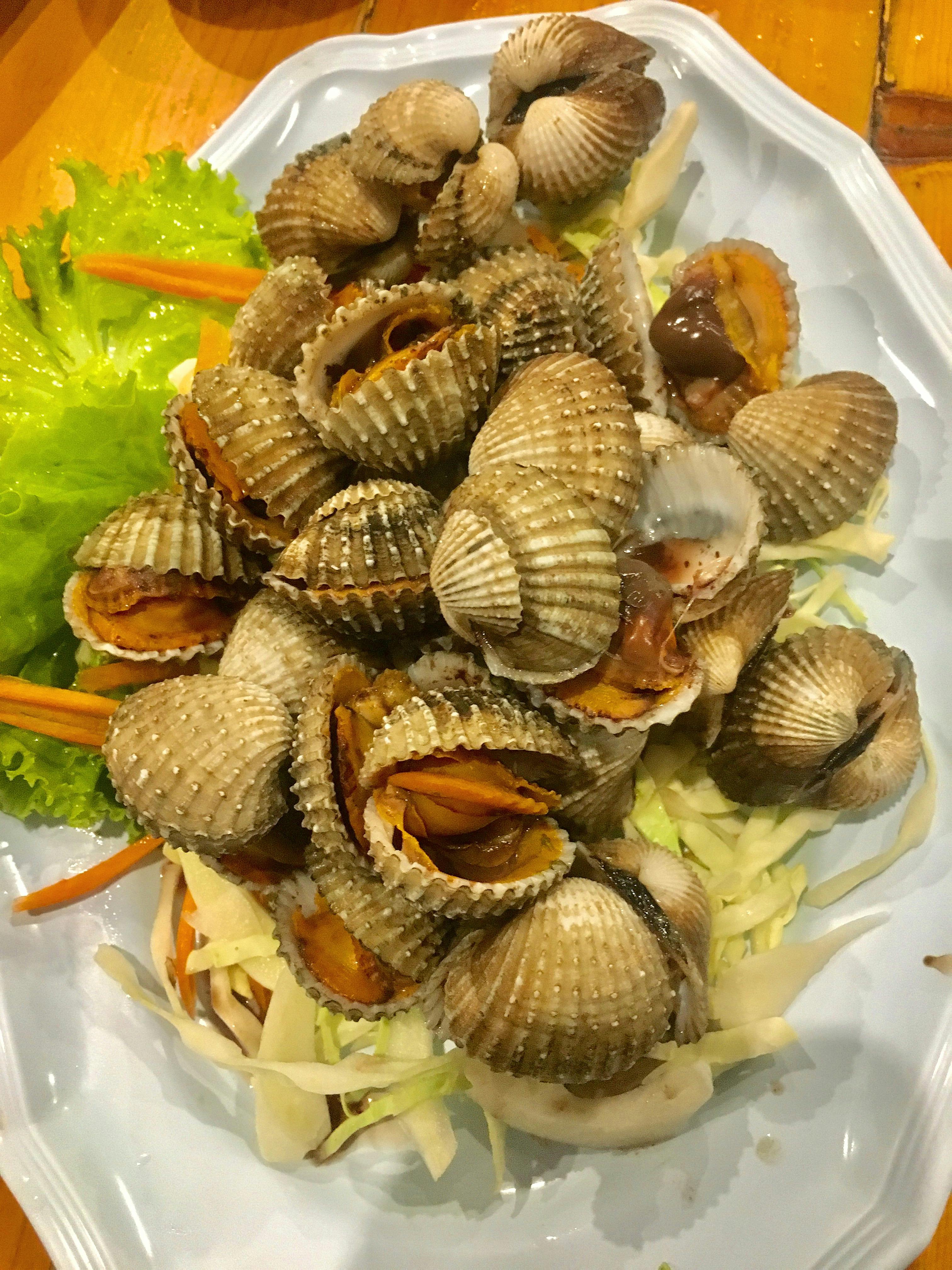 Free stock photo of cockle, crustacean, healthy