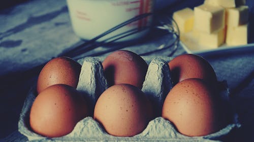 Free stock photo of baking, egg tray, eggs