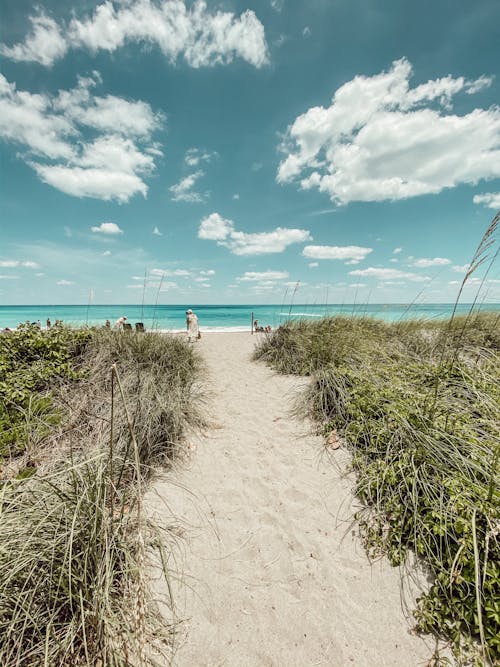 길, 모래, 바다의 무료 스톡 사진