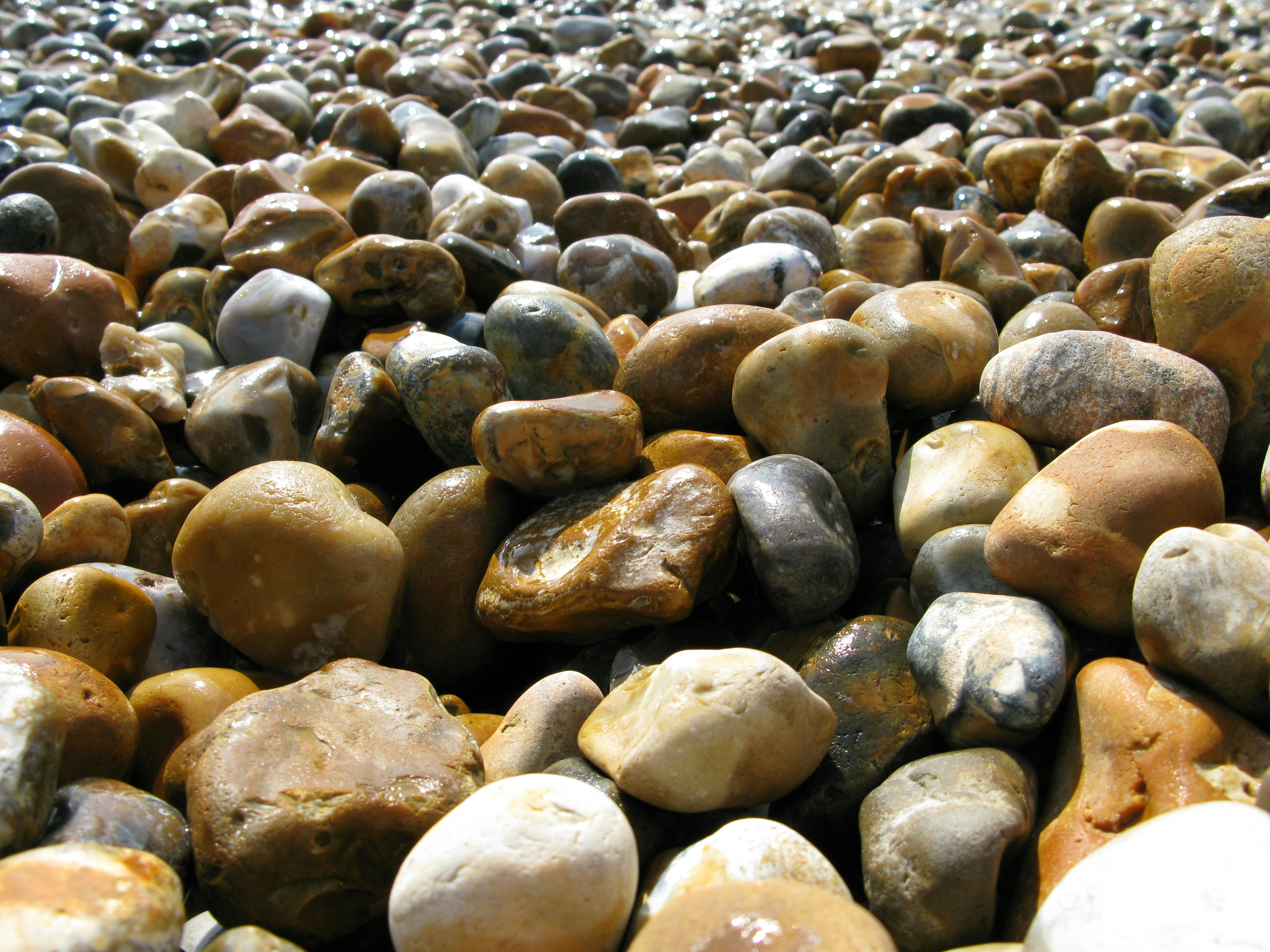 Free stock photo of beach, close up, pebble beach