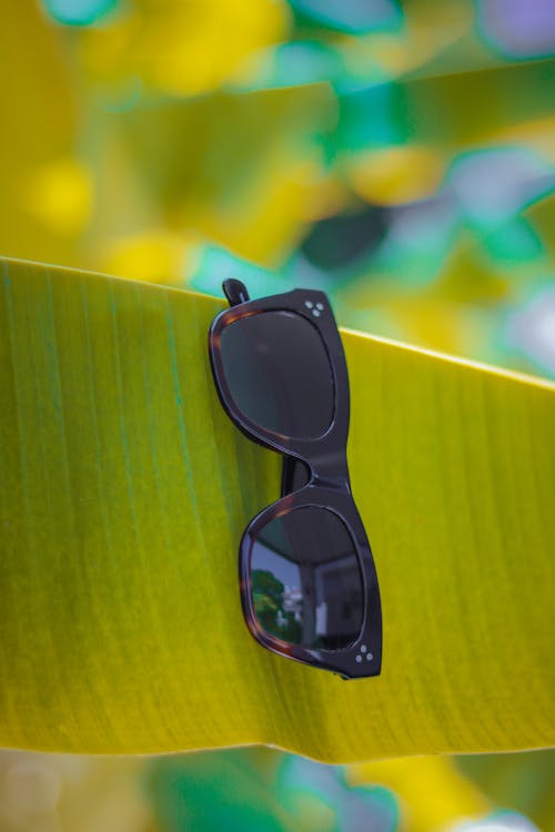 Free Black Sunglasses hanging in a Banana Leaf Stock Photo