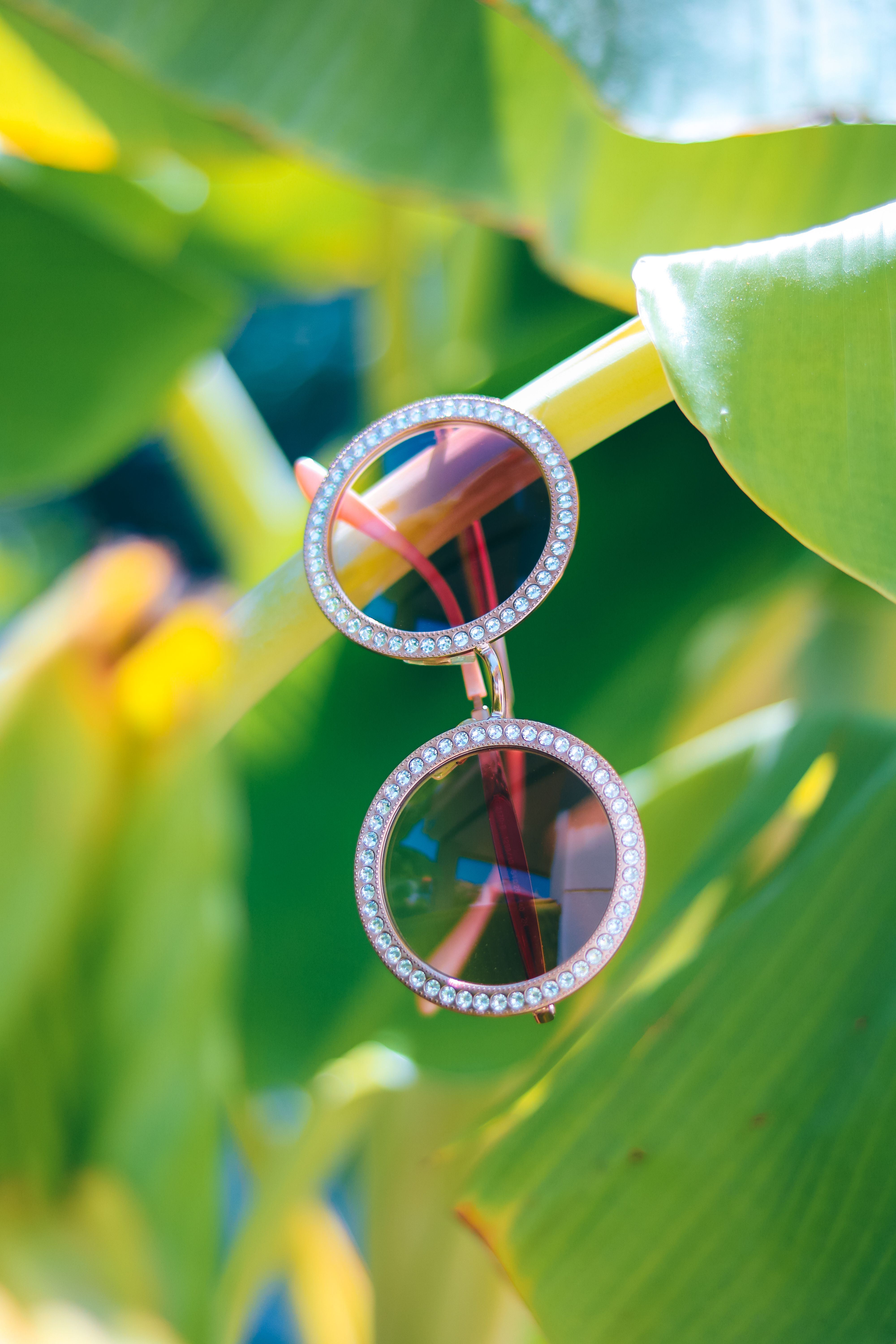 Close-up of stylish sunglasses on vibrant banana leaves in sunlight.