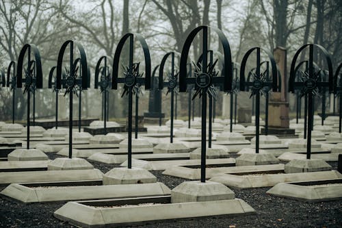 Immagine gratuita di cimitero, croci, elegante