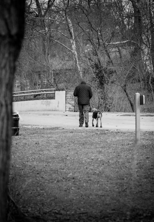 Free Black and white image of a man walking his dog on a quiet path in winter. Stock Photo