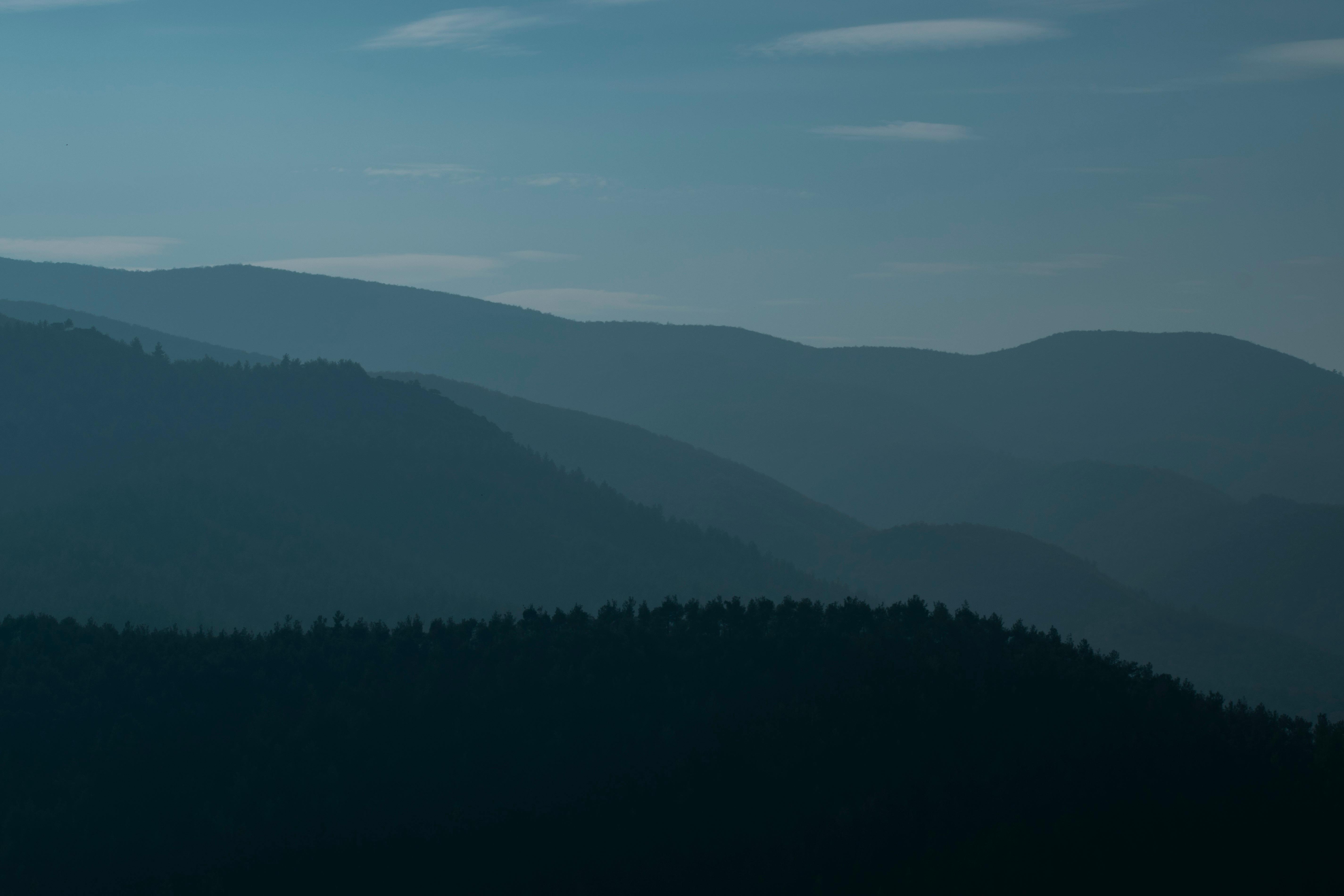 Photo of Mountain Covered with Trees · Free Stock Photo