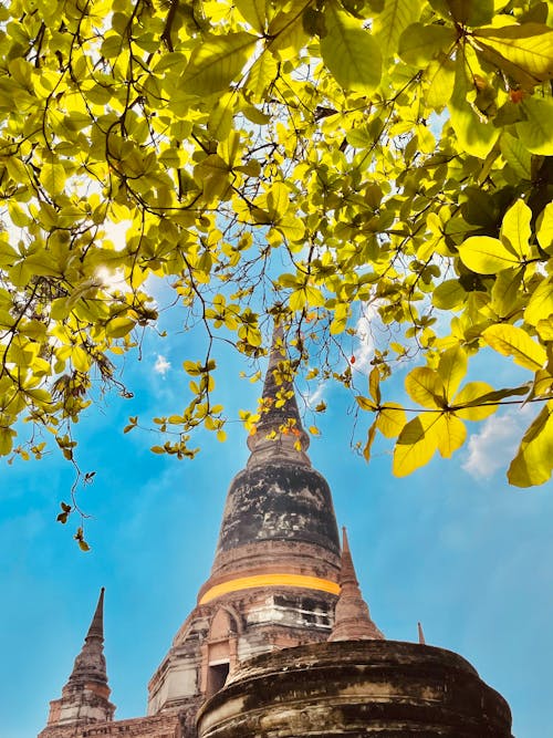 Foto stok gratis ayutthaya, bersejarah, candi Budha